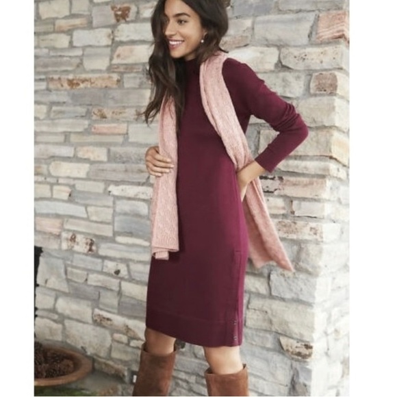 Banana Republic Dresses & Skirts - NWT Banana Republic Sweater Dress Size Small Tall
